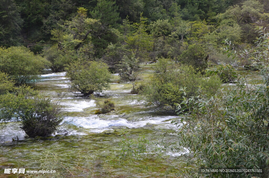 山间溪流穿林而过