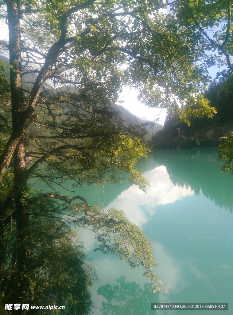 湖畔绿荫下的静谧山水风光