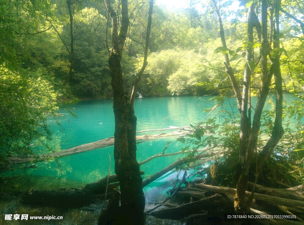 林间幽蓝湖水自然美景