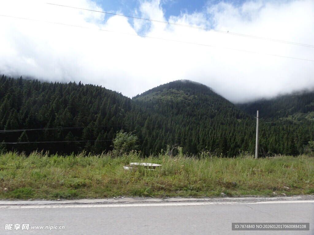 山间公路旁的葱郁山林