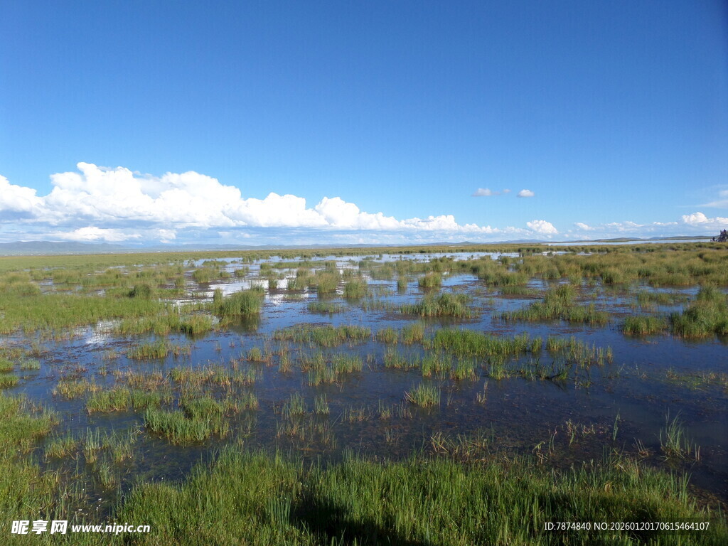 广袤湿地风光