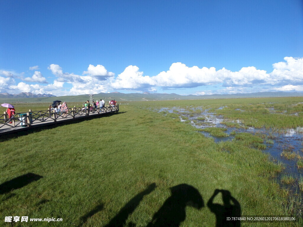 草原栈道上的游客风景