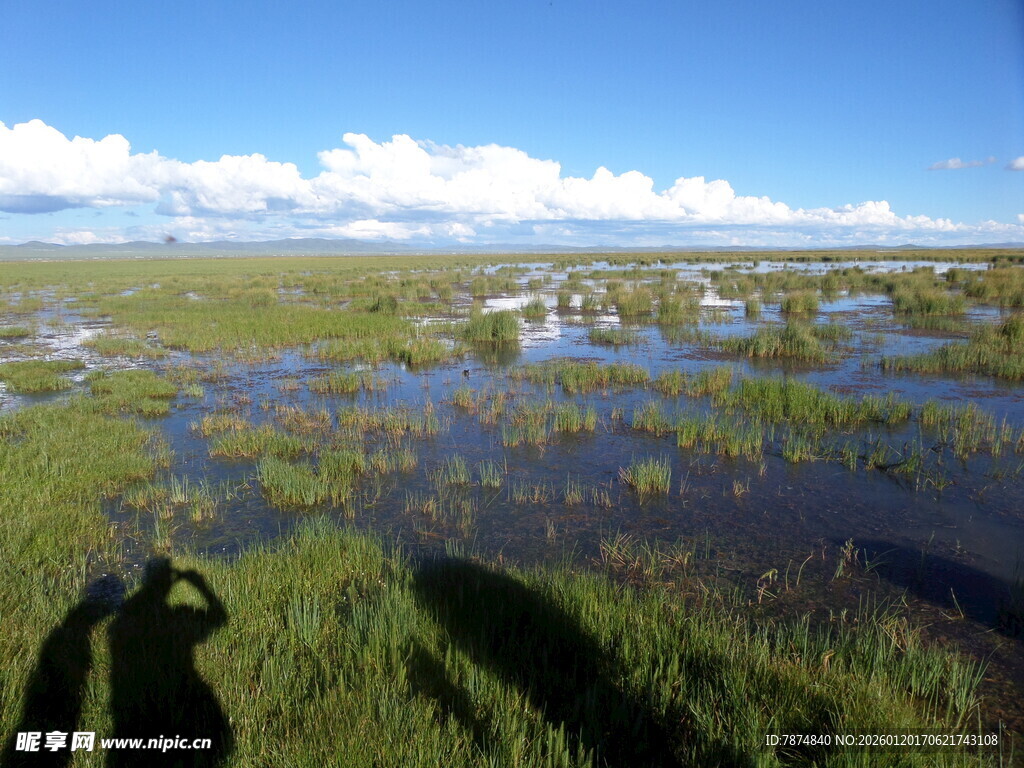 草原湿地风光