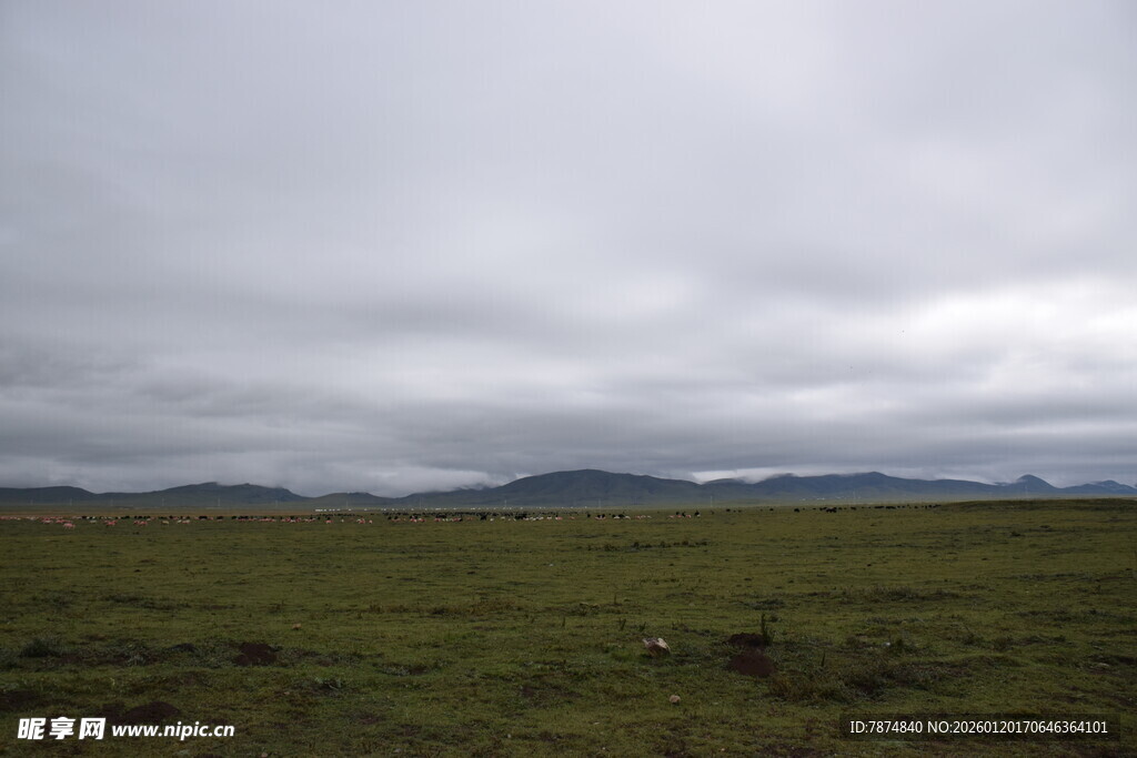 草原阴天景色