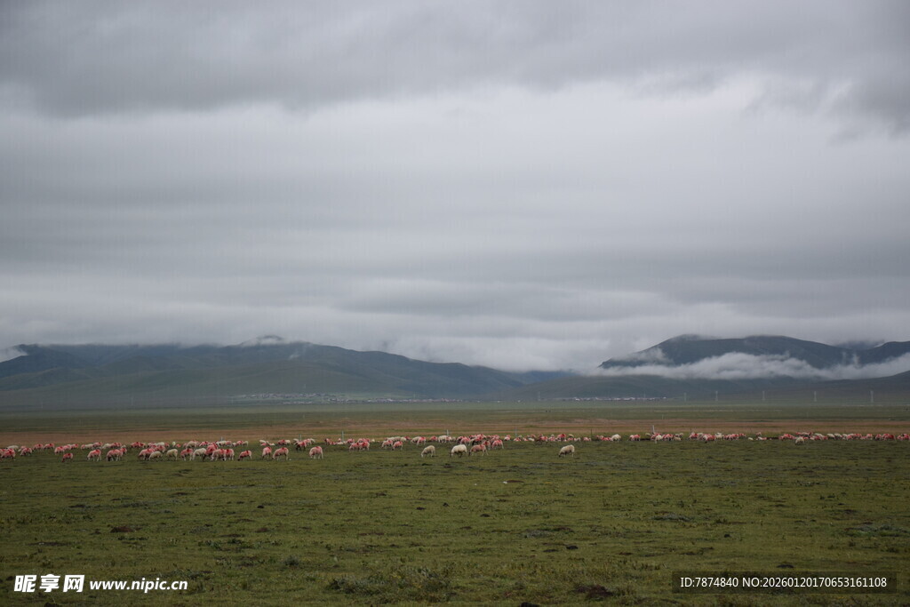 草原上的阴沉天空