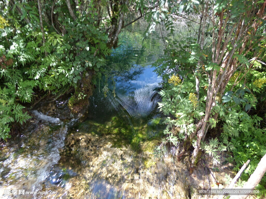 林间隐蔽的蓝色物体