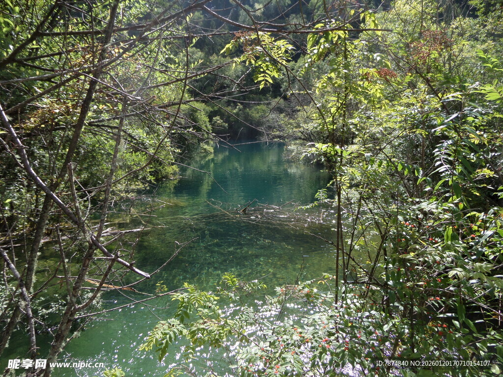 山林间的幽美清澈湖水