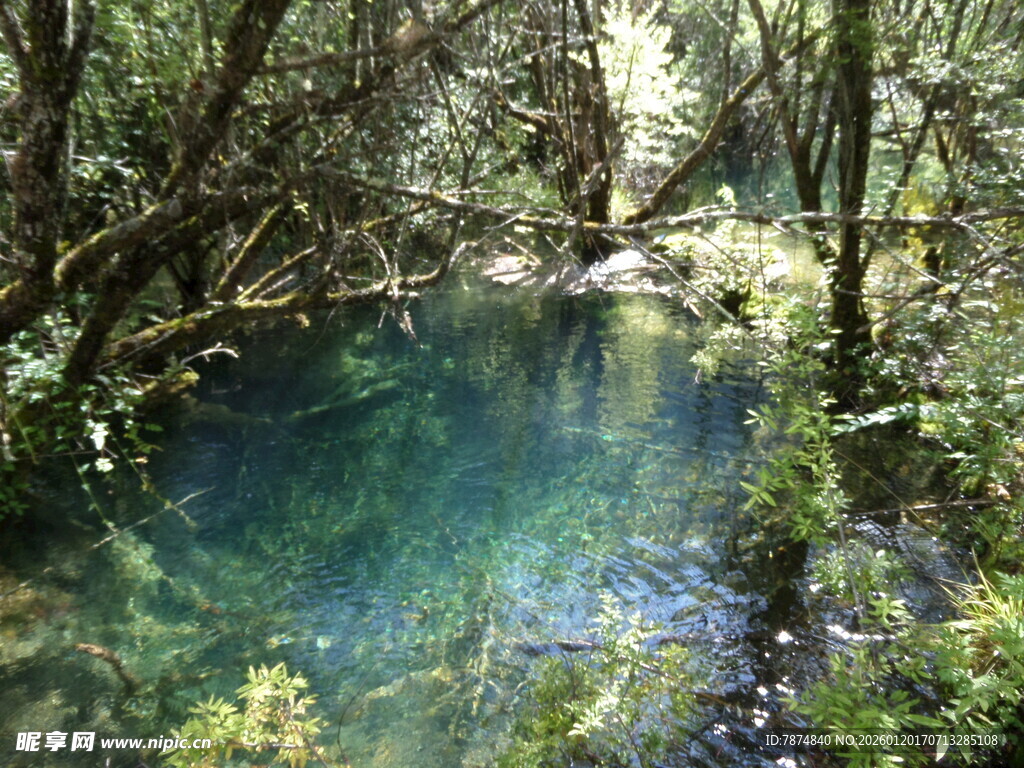 山林间的清澈幽蓝小湖