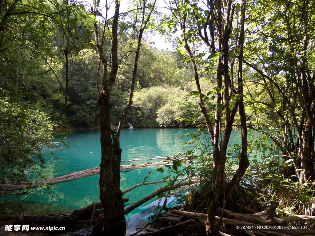 森林中的幽蓝清澈湖泊