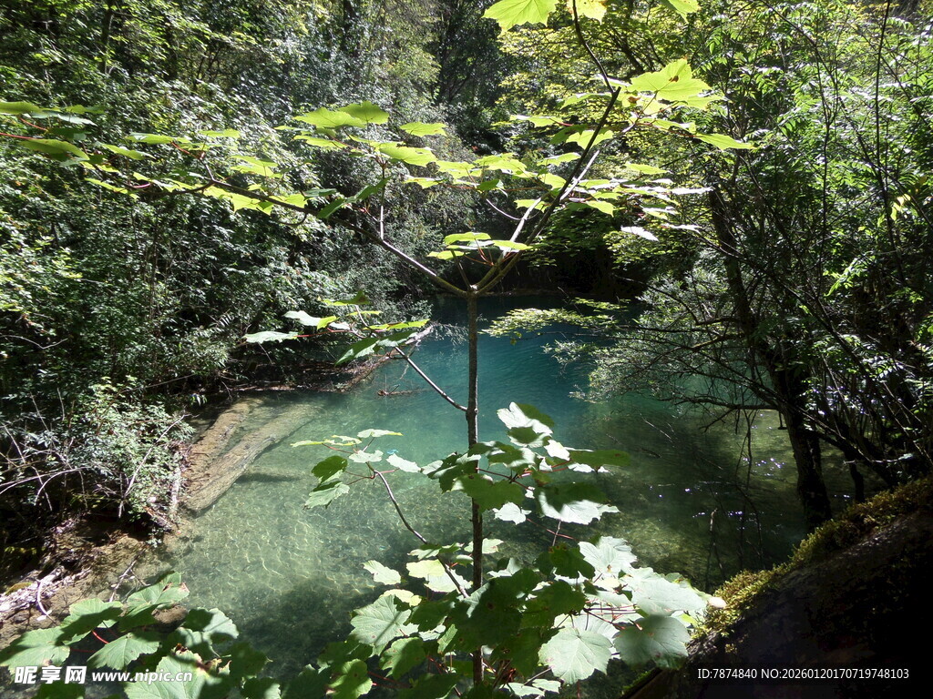 山林间的清澈幽潭