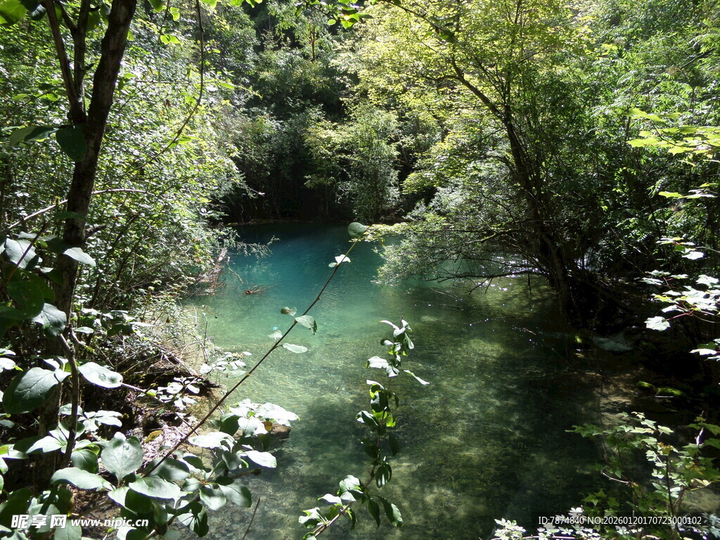 山间幽美清澈溪流景色