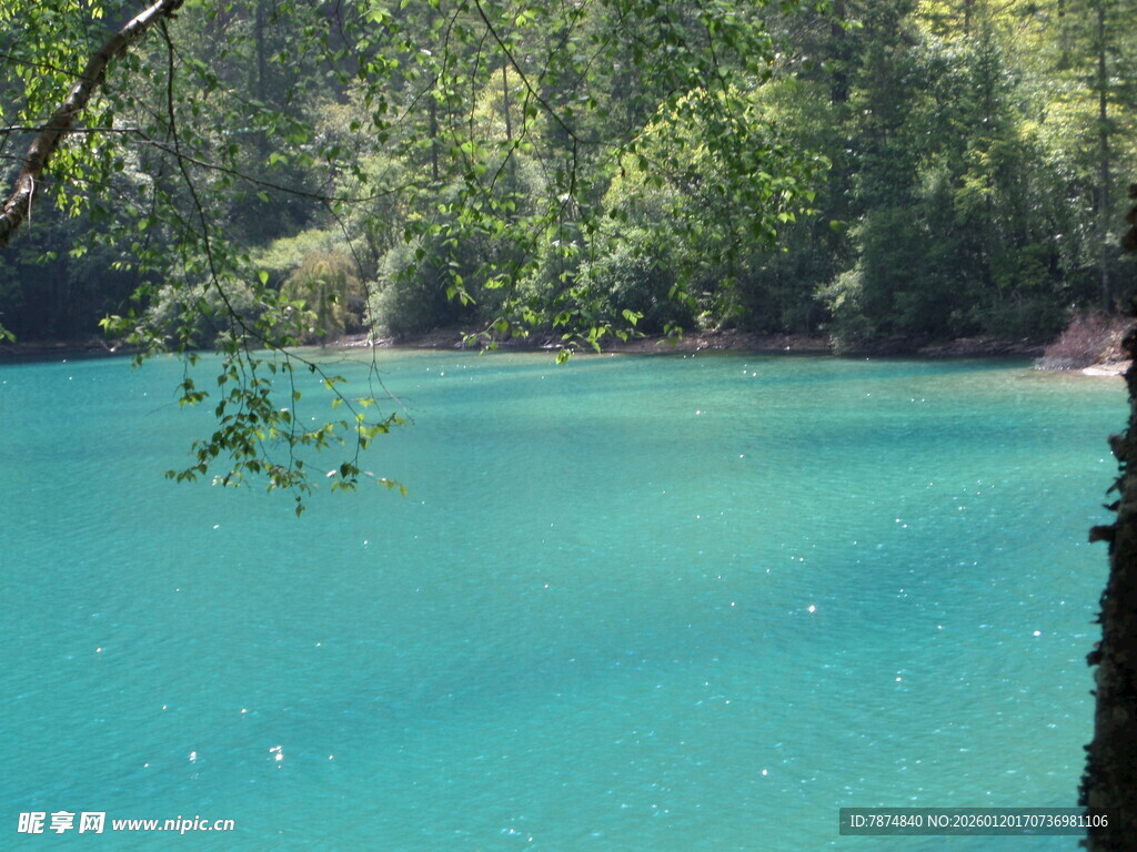 蓝绿色湖水与周边森林美景