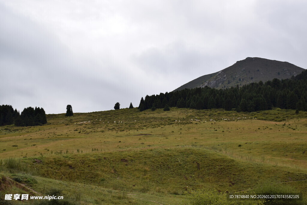 山间草地与远处山峦
