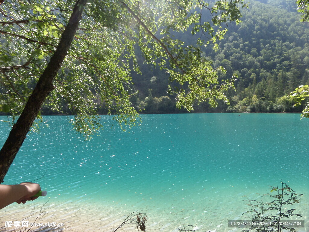 清澈蓝湖旁的自然美景