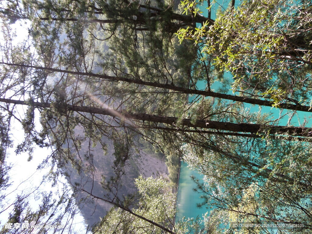 清澈湖水倒映山林美景