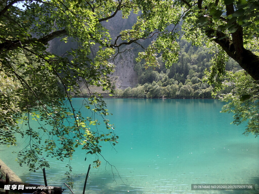 湖畔绿荫下的幽美蓝湖