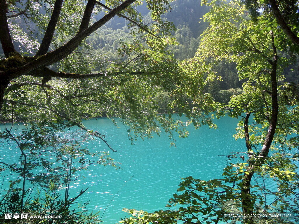 湖畔绿荫下的幽美蓝湖