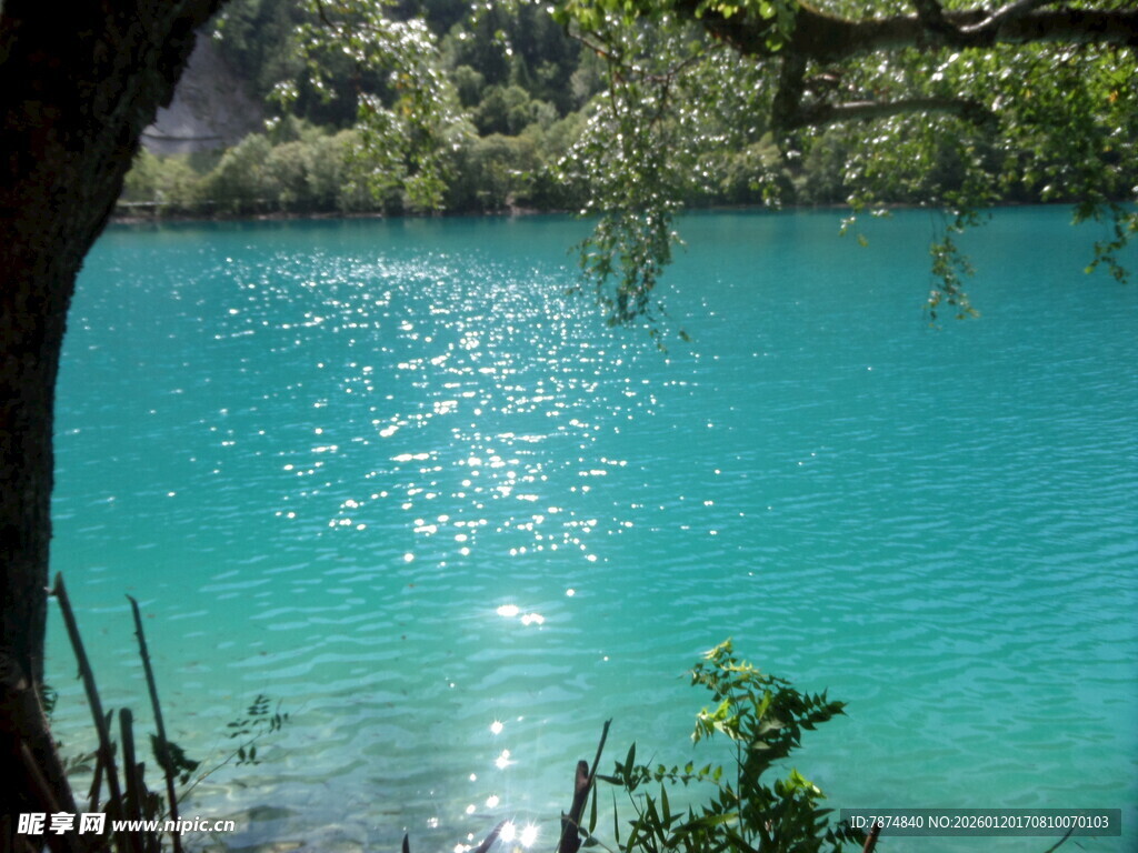 湖畔翠树映蓝湖美景