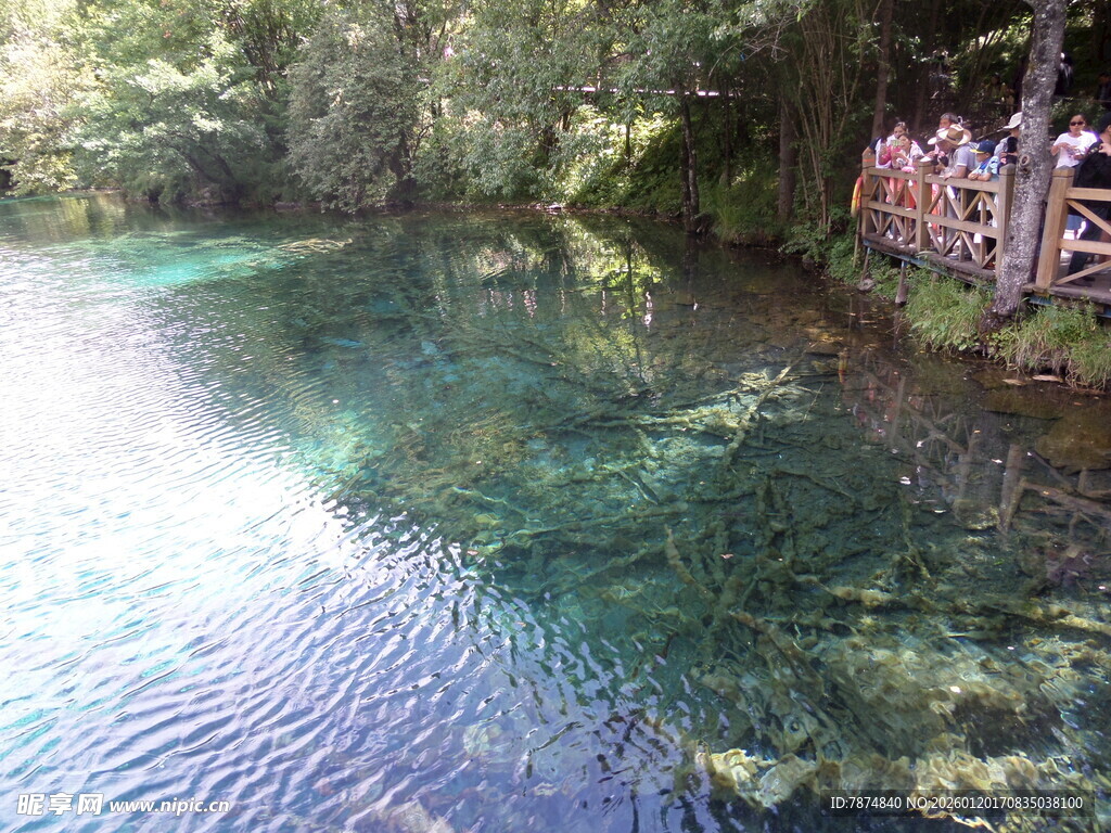 清澈见底的山间碧绿溪流