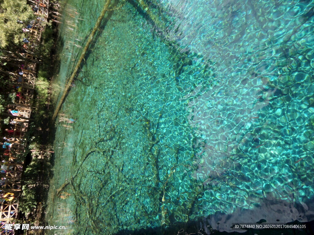 梦幻水下森林景观