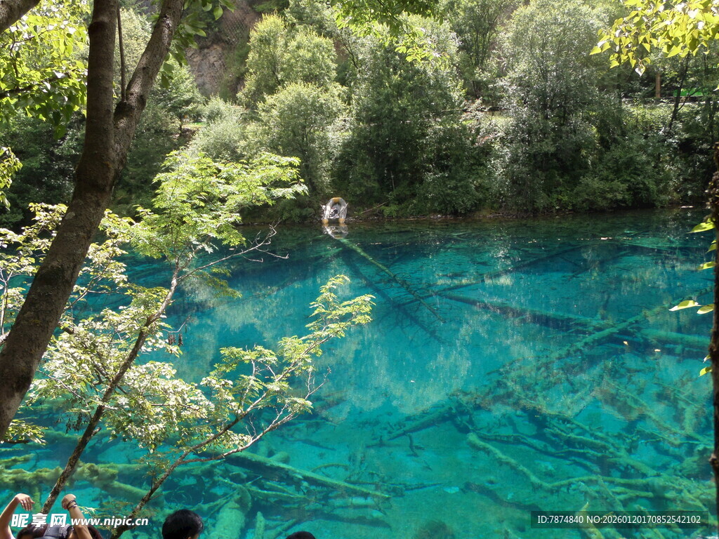 梦幻蓝绿色森林中的幽潭