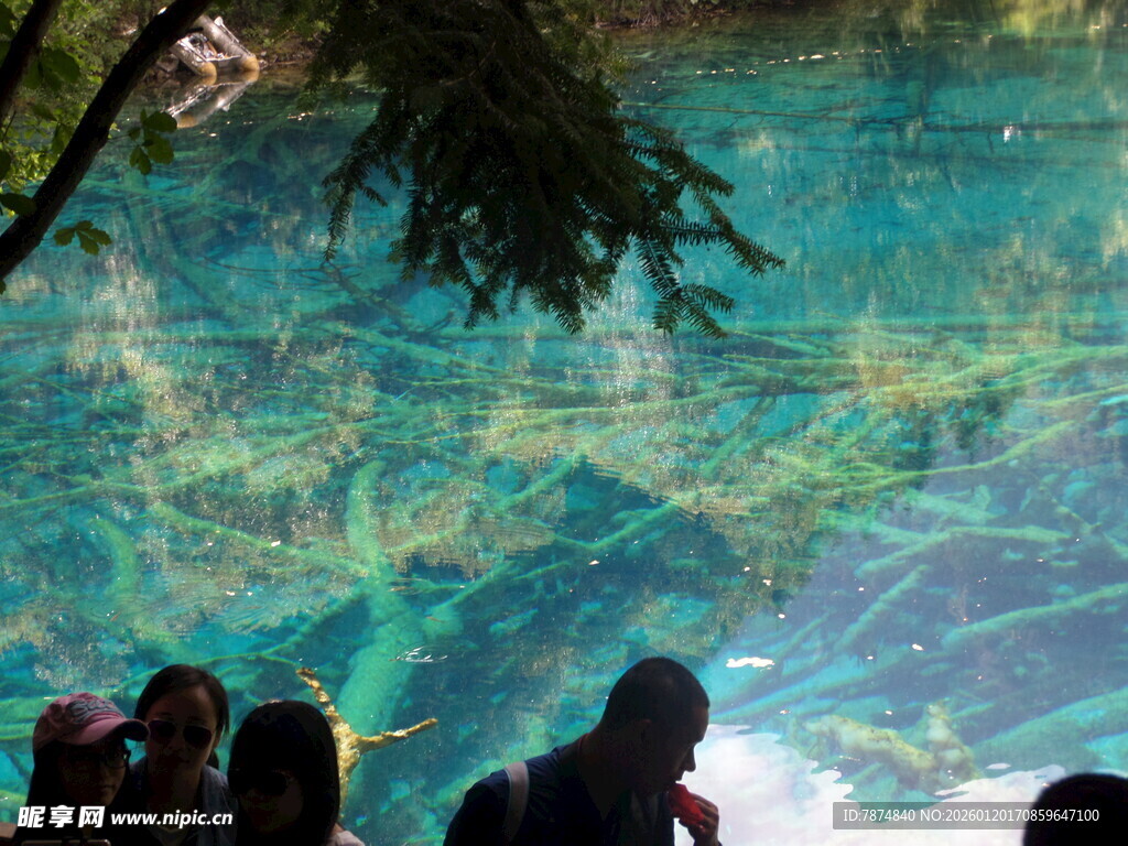 游客观赏清澈水下景观