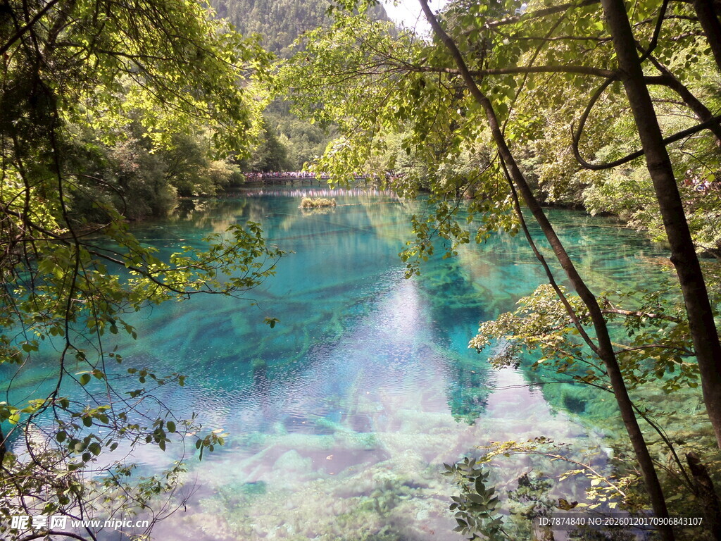 梦幻蓝湖的森林秘境