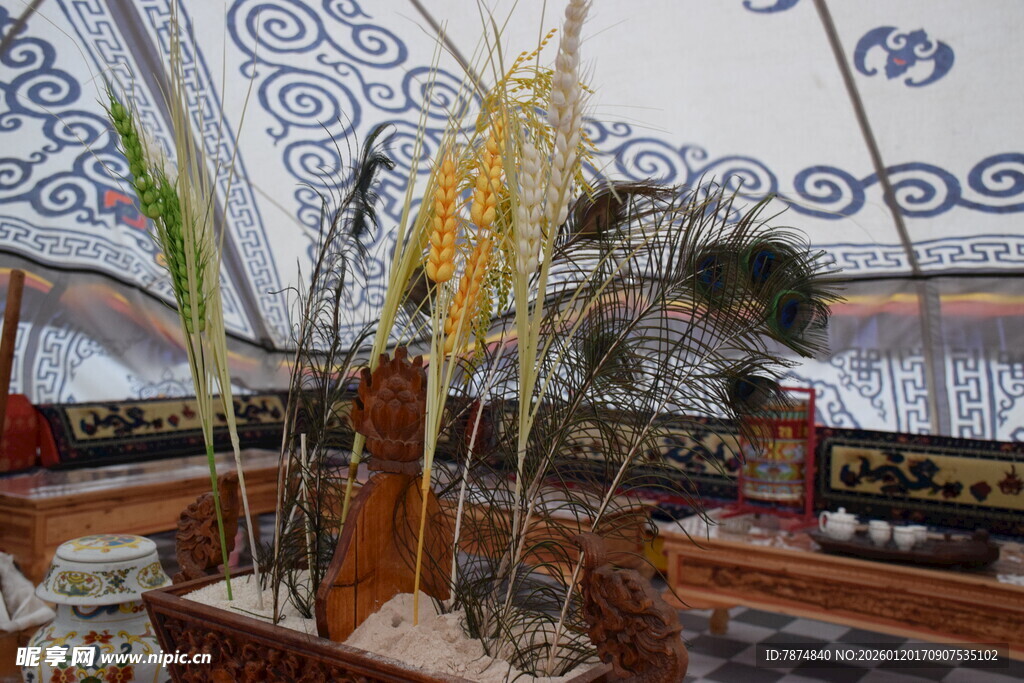 室内独特植物景观展示