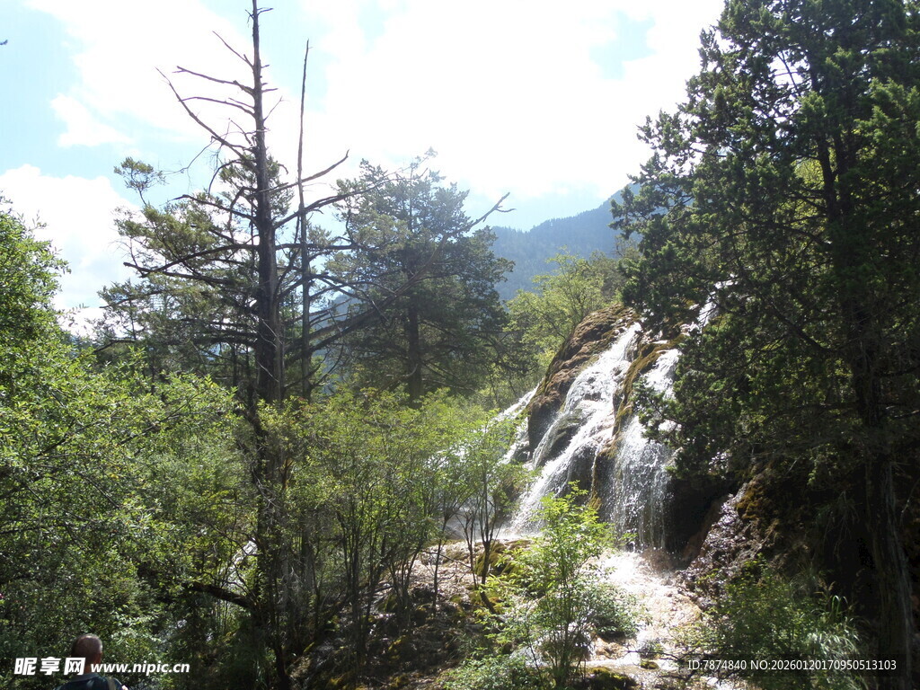 山间瀑布旁的繁茂绿植