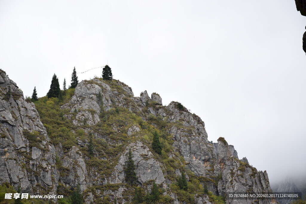 嶙峋山峰上的几棵树木