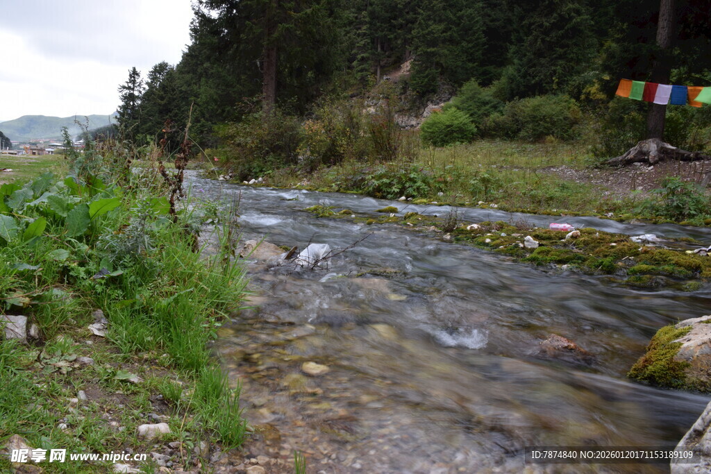 山间清澈小溪潺潺流淌