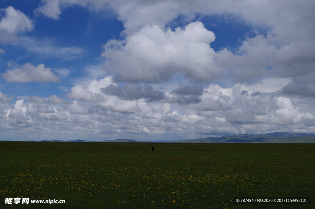 草原上空的壮丽云朵
