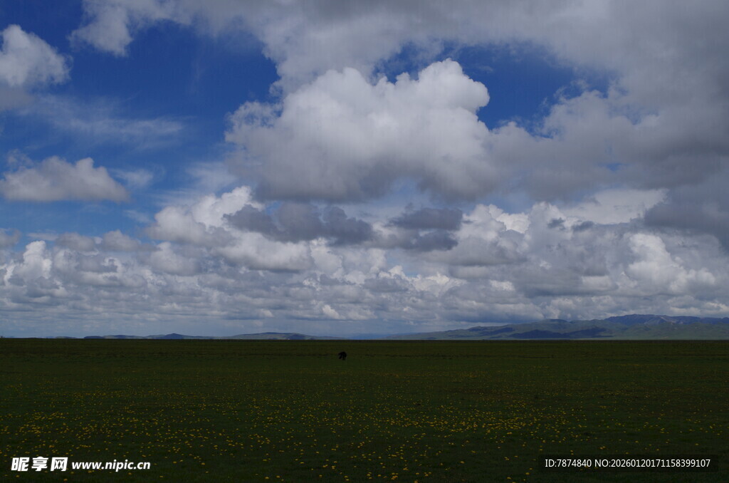 草原上空的壮丽云层