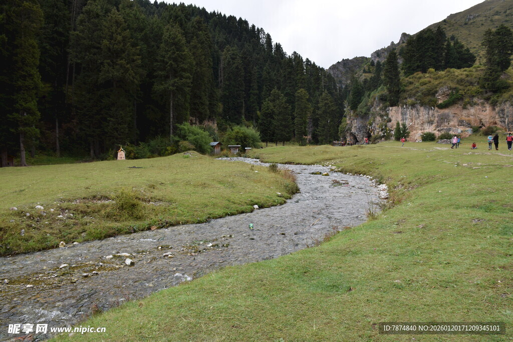 山间小溪旁的静谧草地