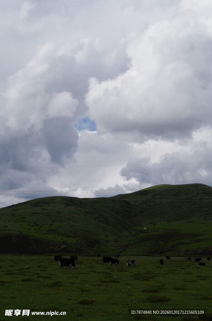 草原上的乌云与牧群