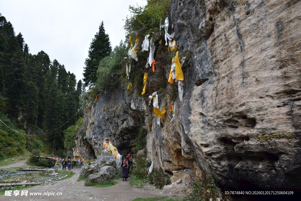 悬崖边的独特景观