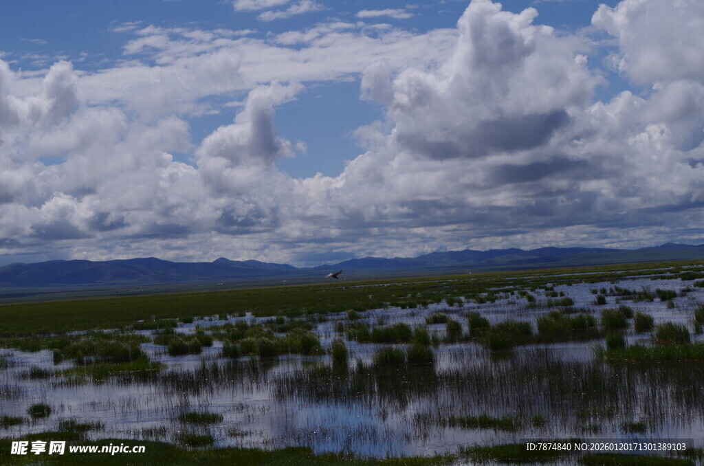 湿地风光 云影倒映水面
