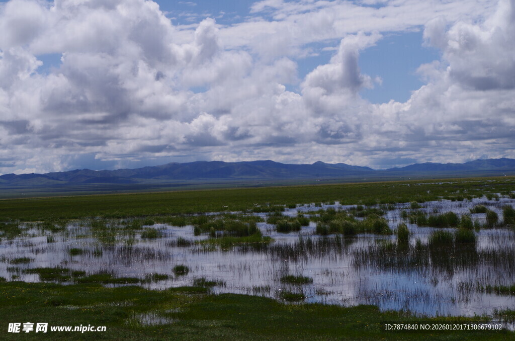 湿地风光 云下的宁静水域