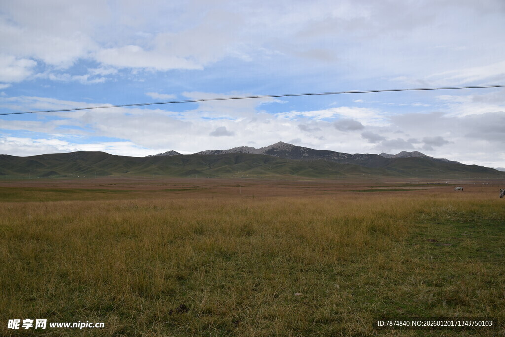 广袤草原与远处山峦风景