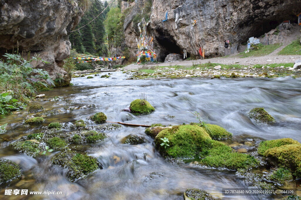 山间溪流 覆满青苔的美景