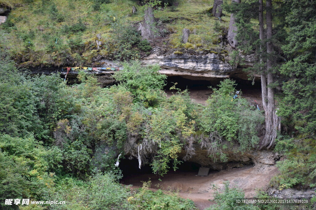 山间繁茂植被覆盖的崖壁