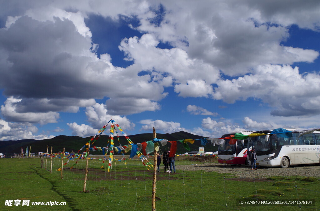 户外草地游乐场景