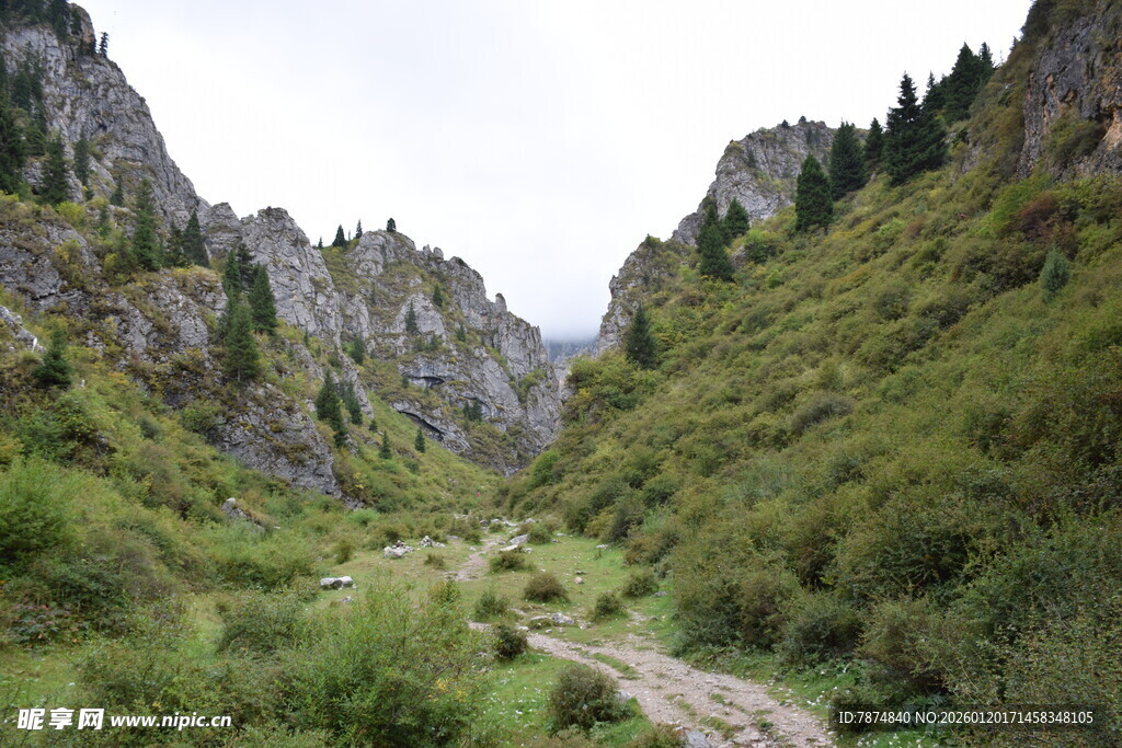 山间绿野小道 自然风光美