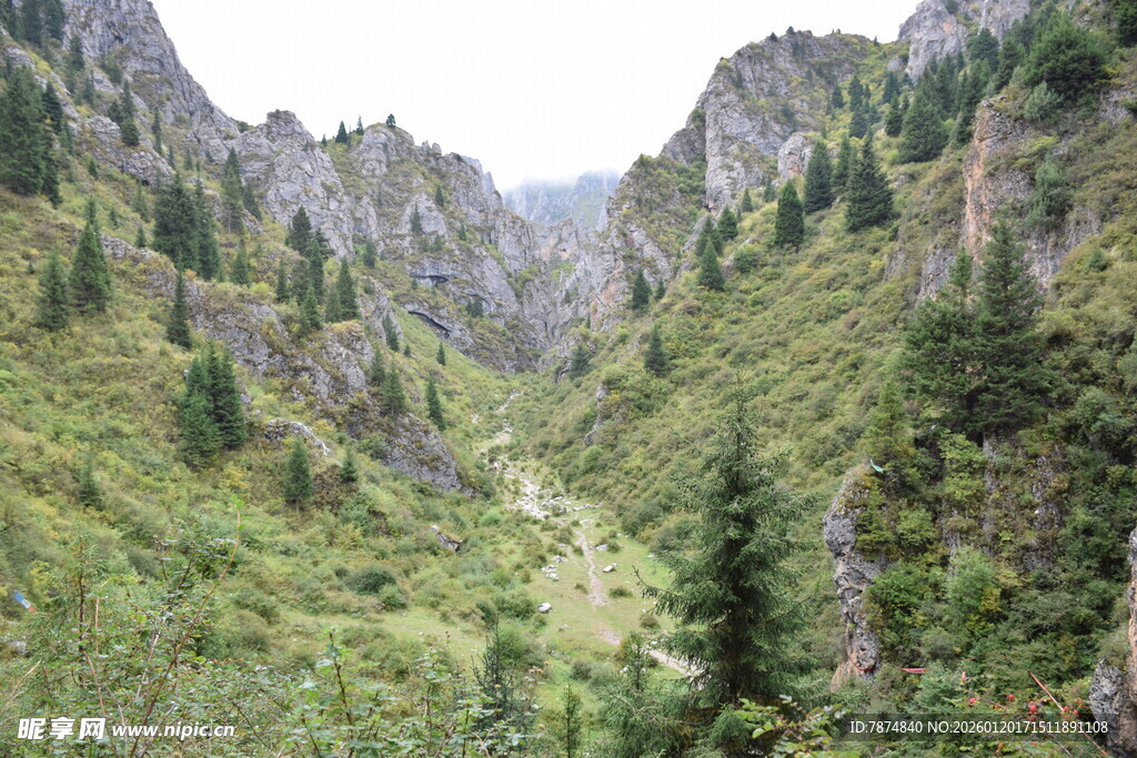 山间翠绿峡谷美景