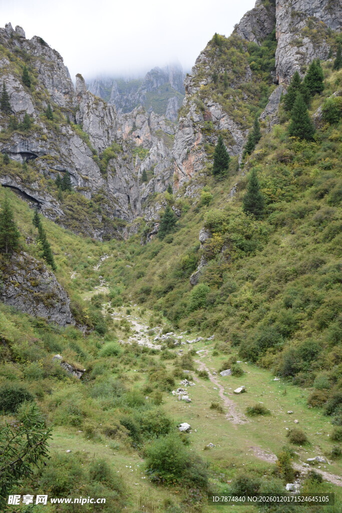 山间绿野山谷美景