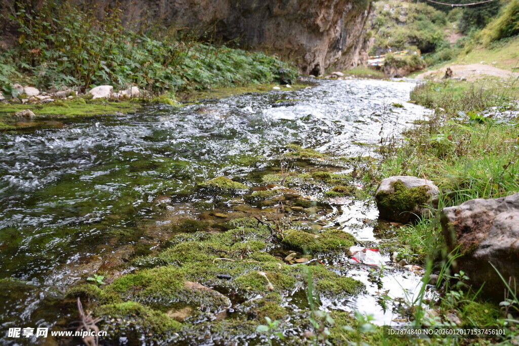 山间潺潺溪流 绿意盎然