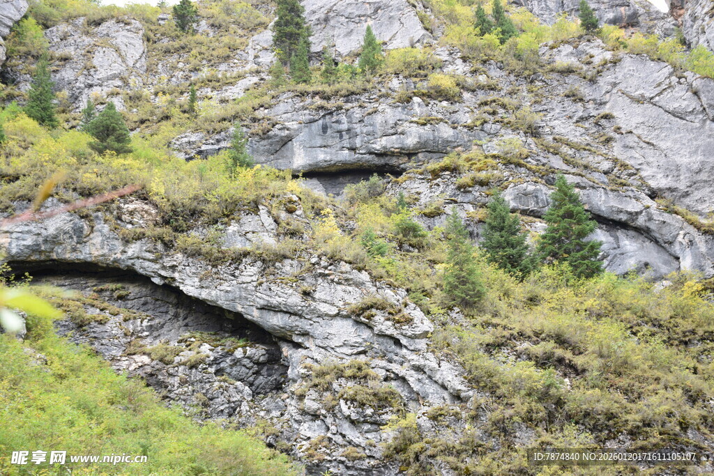 山间岩石与绿植景观