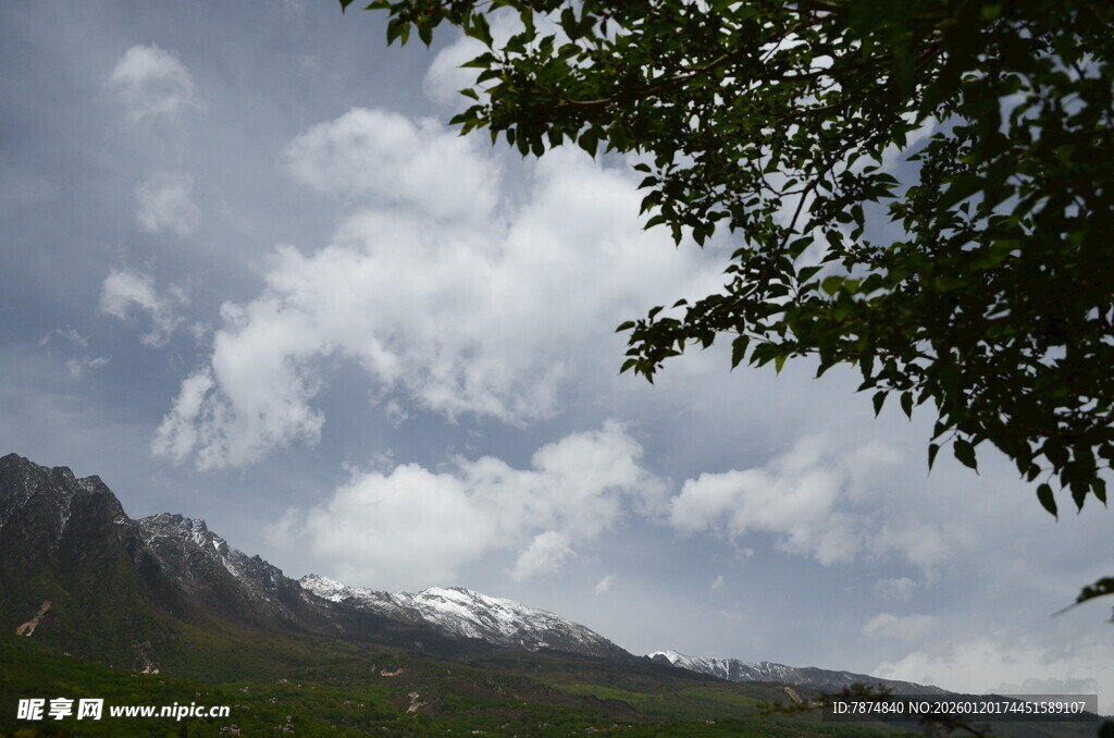 山间云景与枝叶