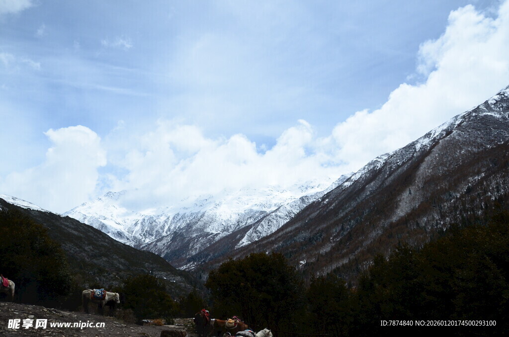 雪山山谷风景