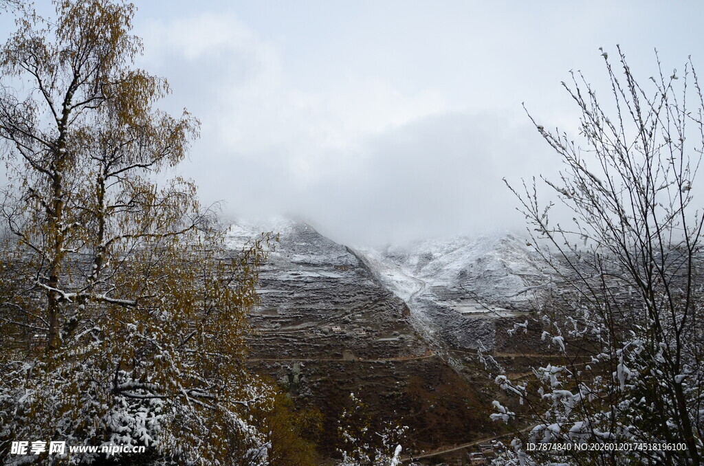 雪覆山峦与树木的景致